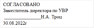 СОГЛАСОВАНО
Заместитель директора по УВР
 _______________Н.А. Троц                                                                                                    30.08.2022г

