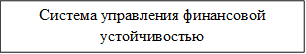 Система управления финансовой устойчивостью