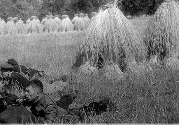 К 75-летию Великой Победы. Партизанская война. Видео и архивные фото БЕЛТА