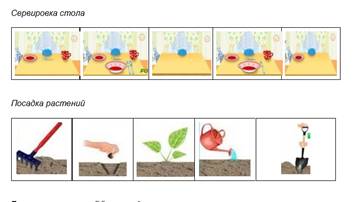 Алгоритм посадки семян в детском саду картинки