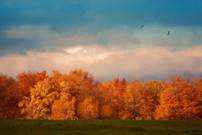 https://avatars.mds.yandex.net/i?id=ca64bef36efdd83dbc0376616a9136409ae69866-5253253-images-thumbs&n=13
