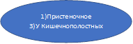 1)Пристеночное
3)У Кишечнополостных
