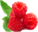 https://img2.freepng.ru/20180422/lfe/kisspng-black-raspberry-fruit-clip-art-5adc6250b7e8e3.5259936715243925287533.jpg