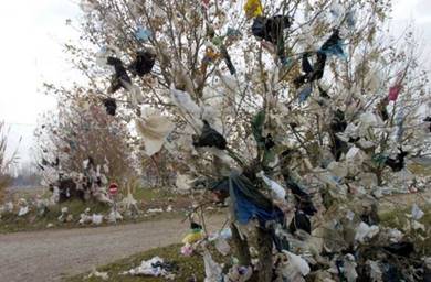 http://greenword.ru/images/plastic-bags1.jpg