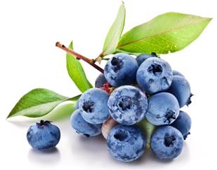 https://s1.1zoom.ru/big7/596/Fruit_Blueberries_377440.jpg