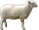 Картинки по запросу sheep png