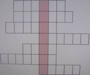 SDC13516.JPG