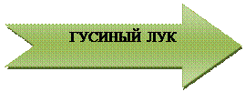 Стрелка вправо с вырезом: ГУСИНЫЙ ЛУК