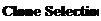 Text Box: Clone Selection 