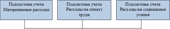Подсистема учета Материальные расходы,Подсистема учета Расходы на оплату труда ,Подсистема учета Расходы на социальные усилия