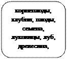 Скругленный прямоугольник: корнеплоды, клубни, плоды, семена, луковицы, луб, древесина, сердцевина