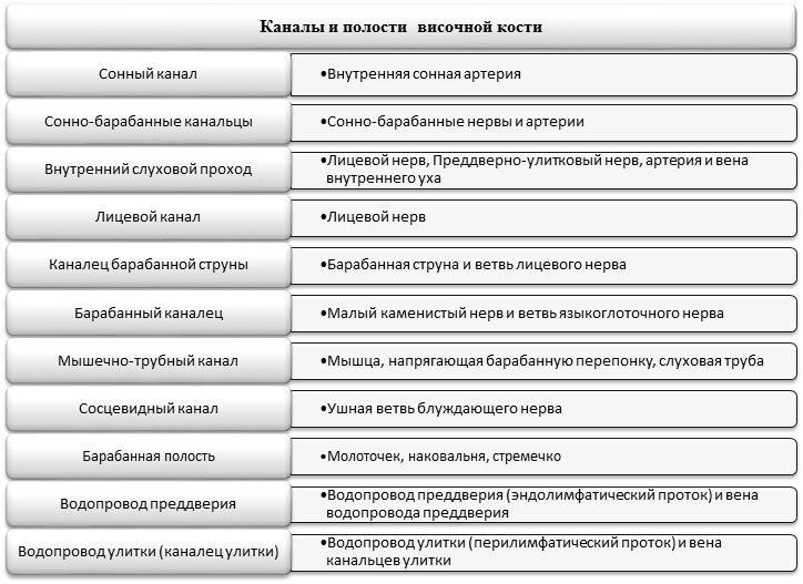 Сонный канал