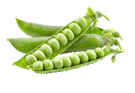 https://purepng.com/public/uploads/large/purepng.com-peapeaspherical-seedpod-fruitbotanically-fruitfood-1701527269900fulmp.png