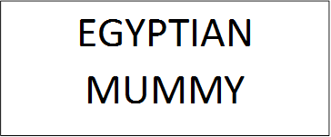 EGYPTIAN MUMMY

