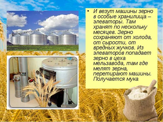 http://cs622718.vk.me/v622718949/499a3/JP8EKnK7BVw.jpg
