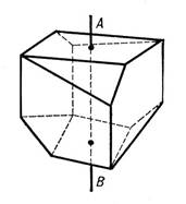 Картинка 2 из 338