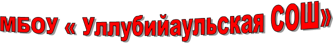 МБОУ « Уллубийаульская СОШ»