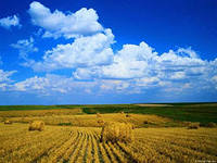http://im4-tub-ua.yandex.net/i?id=61780265-05-72&n=21