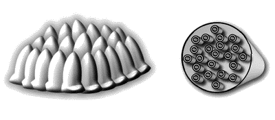https://img.wikireading.ru/167978_19_i_006.png