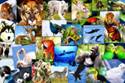 http://www.ubo.cl/boletin/wp-content/uploads/2018/03/entrevista_extincion_animales.jpg