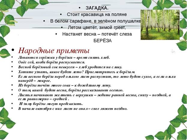 https://ds02.infourok.ru/uploads/ex/01a7/0007682e-d39a46dd/img12.jpg