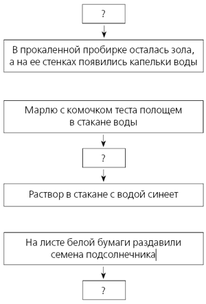 Описание: http://bio.1september.ru/2008/06/8.gif