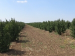 foto-15.jpg
