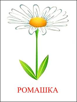 ÐšÐ°Ñ€Ñ‚Ð¸Ð½ÐºÐ¸ Ð¿Ð¾ Ð·Ð°Ð¿Ñ€Ð¾ÑÑƒ Ñ†Ð²ÐµÑ‚Ñ‹ Ñ€Ð¾Ð¼Ð°ÑˆÐºÐ° Ð´Ð»Ñ Ð´ÐµÑ‚ÐµÐ¹ Ñ„Ð¾Ñ‚Ð¾