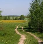 https://avatars.mds.yandex.net/i?id=dd756ea49805f01d93b76822dcad36bc18f08d1d-5179994-images-thumbs&n=13