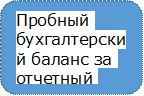 Пробный бухгалтерский баланс за отчетный период