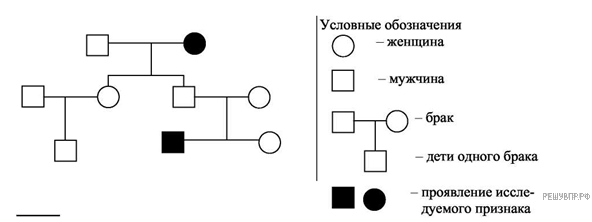 https://bio11-vpr.sdamgia.ru/get_file?id=2068