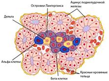 https://vivareit.ru/wp-content/uploads/2019/08/ostr11.jpg