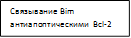Связывание Bim  антиапоптическими  Bcl-2