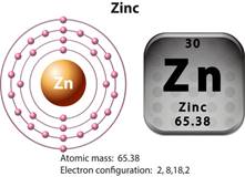 https://cdn4.vectorstock.com/i/1000x1000/10/53/symbol-and-electron-diagram-for-zinc-vector-6241053.jpg