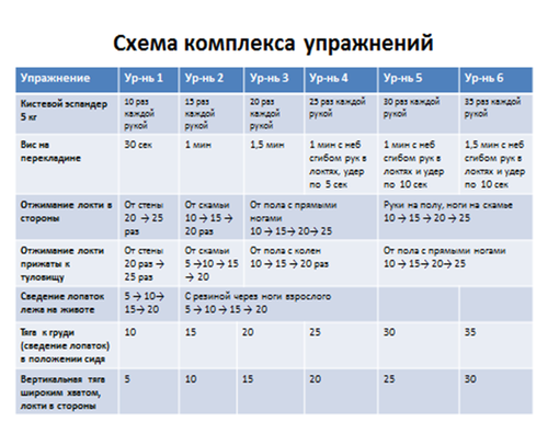 схема упражнений