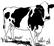 Картинки по запросу cow drawing