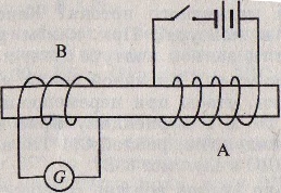 65 (1)