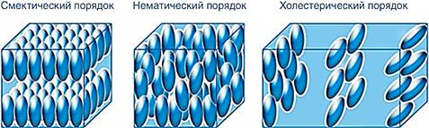 порядки разных термотропных ЖК