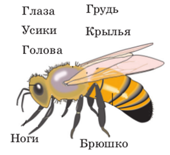 1402906785_pic132.png
