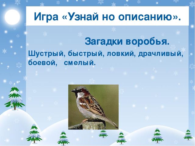 Игра «Узнай но описанию». Загадки воробья. Шустрый, быстрый, ловкий, драчливы...