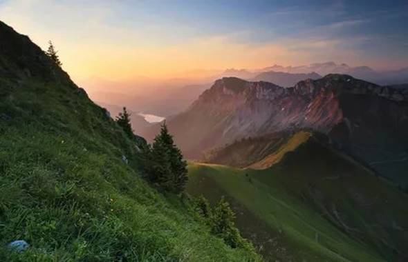 https://avatars.mds.yandex.net/i?id=de6f4883390b33e3dce833484f35804827bbb988-4268363-images-thumbs&n=13