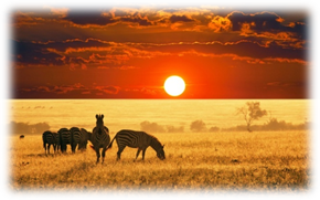 https://c.wallhere.com/photos/d6/8c/animals_Africa_zebras_sunset_sky_landscape_Sun_nature-249720.jpg!d