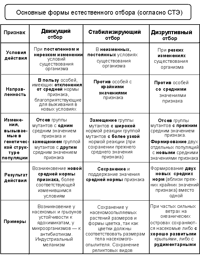 ÐšÐ°Ñ€Ñ‚Ð¸Ð½ÐºÐ¸ Ð¿Ð¾ Ð·Ð°Ð¿Ñ€Ð¾ÑÑƒ Ñ„Ð¾Ñ€Ð¼Ñ‹ ÐµÑÑ‚ÐµÑÑ‚Ð²ÐµÐ½Ð½Ð¾Ð³Ð¾ Ð¾Ñ‚Ð±Ð¾Ñ€Ð°