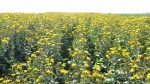 foto-09.jpg