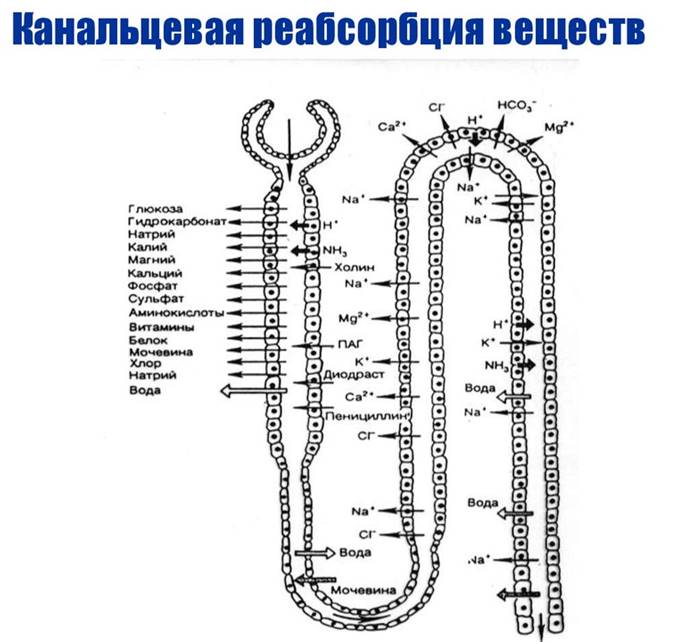 https://cf.ppt-online.org/files/slide/c/CuPYJVHenAgy7BGLpKTk6Wt0Nh8bj4SoFaifxR/slide-21.jpg