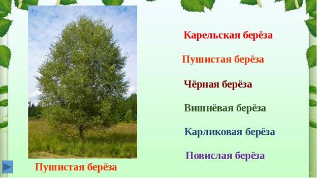 https://myslide.ru/documents_7/36c2755bf409766762817e8590e668be/img9.jpg
