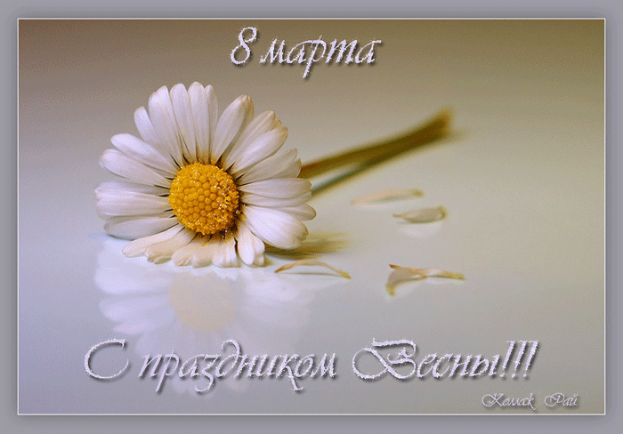 http://i055.radikal.ru/1103/25/b9ba1a16bfe4.gif
