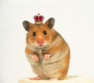 ХАмяк: solaris_07_07 — LiveJournal