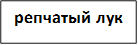репчатый лук