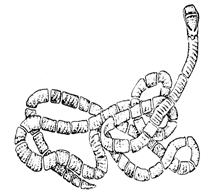 https://xn--j1ahfl.xn--p1ai/data/images/u128470/t1508365068al.png